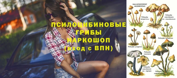 спиды Абдулино