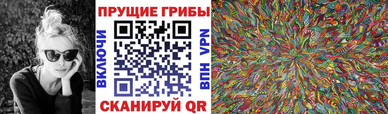 blacksprut ТОР  Чухлома  darknet наркотические препараты  Псилоцибиновые грибы Psilocybe 